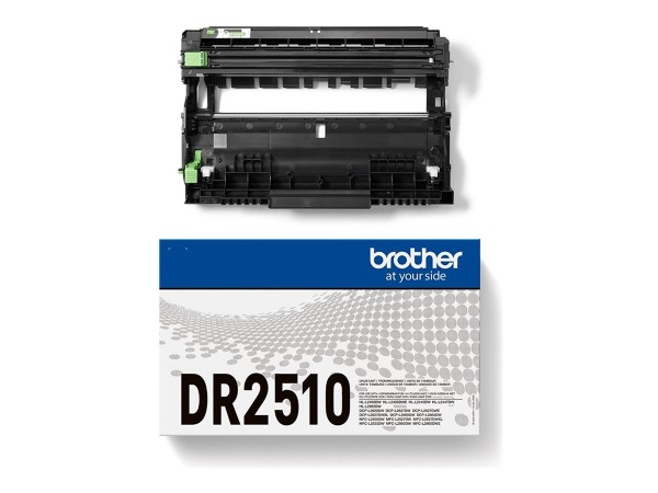 DR2510.jpg