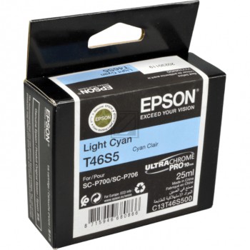 EPSON T46S5 light cyan Druckerpatrone