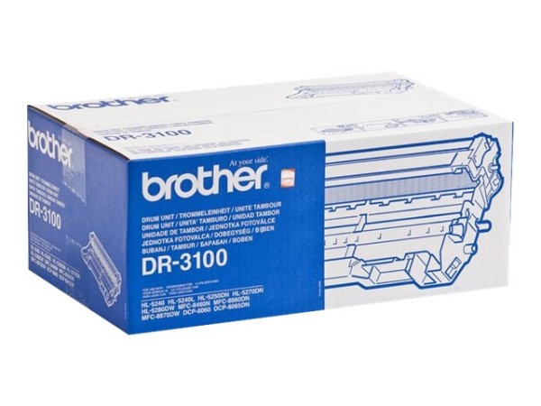 DR3100.jpg